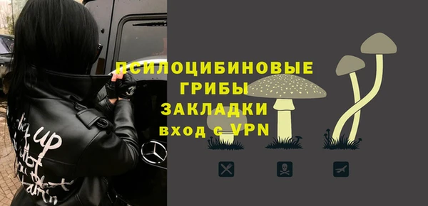 дурь Краснослободск