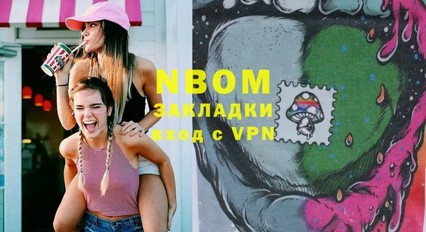 дурь Краснослободск