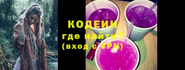 дурь Краснослободск