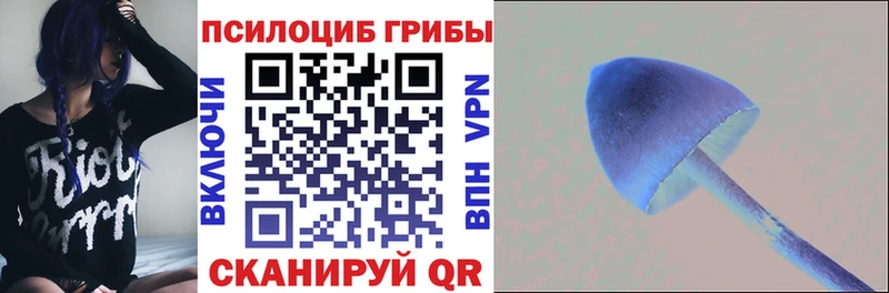 Псилоцибиновые грибы прущие грибы  Купить где  Буинск 